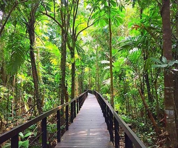 Parque Nacional Cahuita