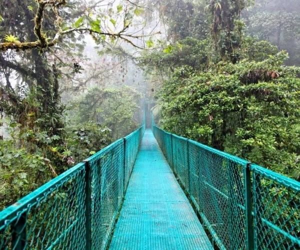 Reserva Bosque Nuboso Monteverde
